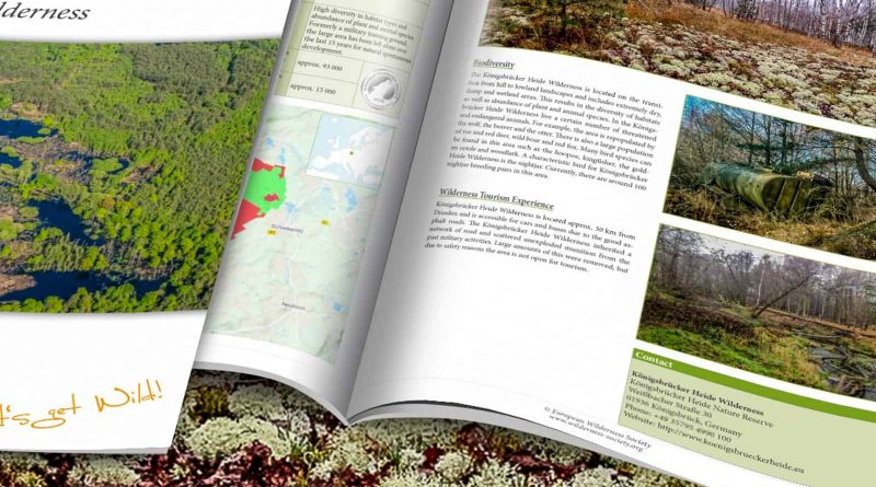 Konigsbrucker_Heide_Wilderness_Brief_2200x1057.jpg