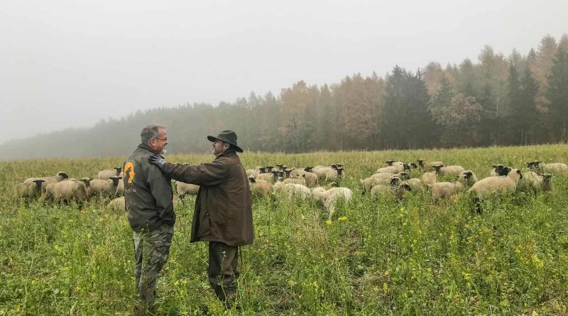 ORF Livestock Protection Knut Kuznik-21867.JPG