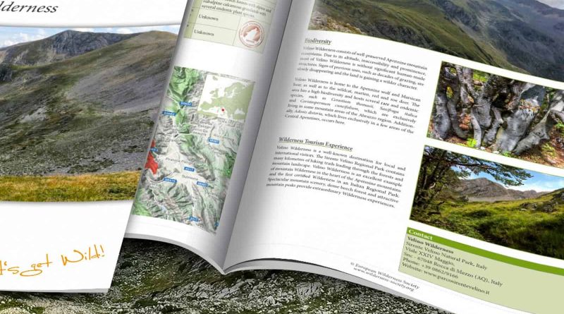 Velina WIlderness Brief-22239.png