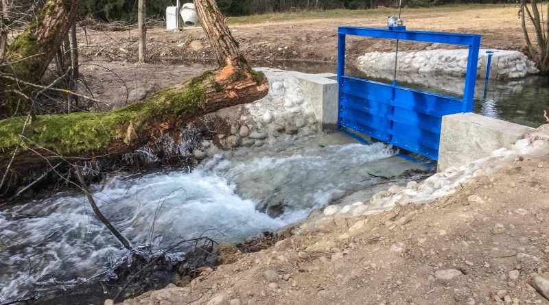 Bela River Destruction-218940.jpg