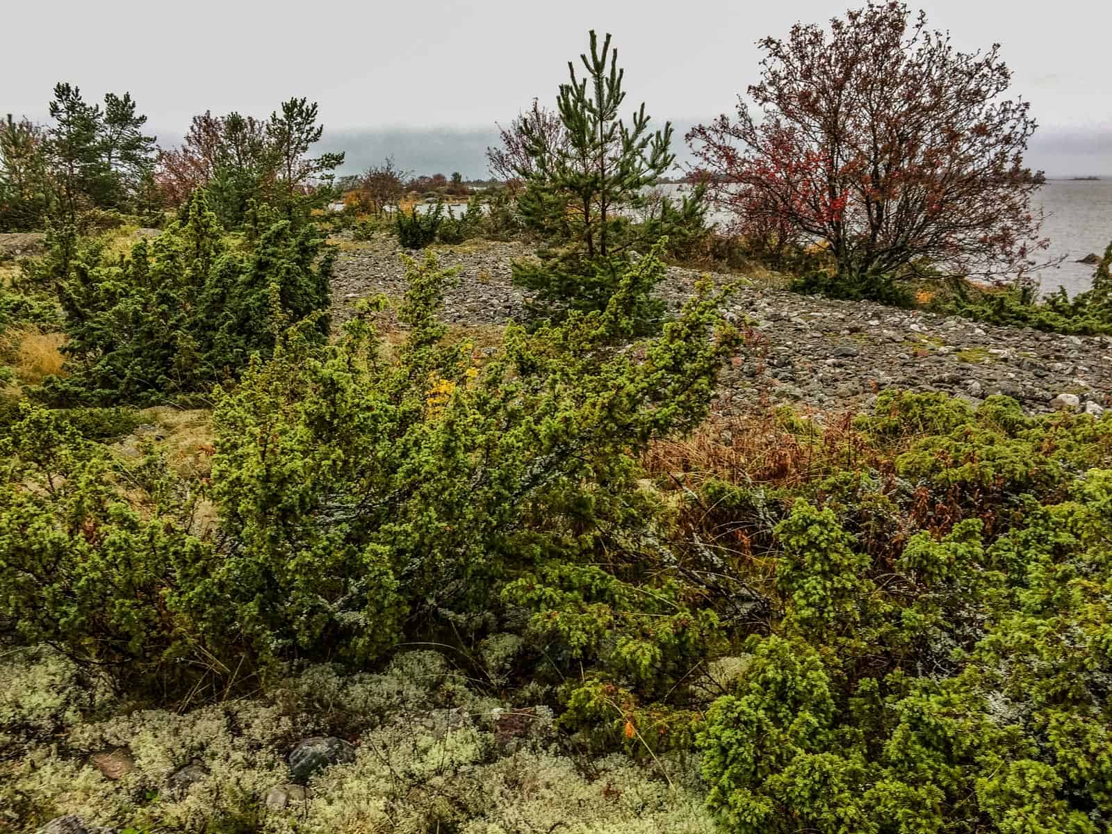 2017-10-14 12.33.49.jpg