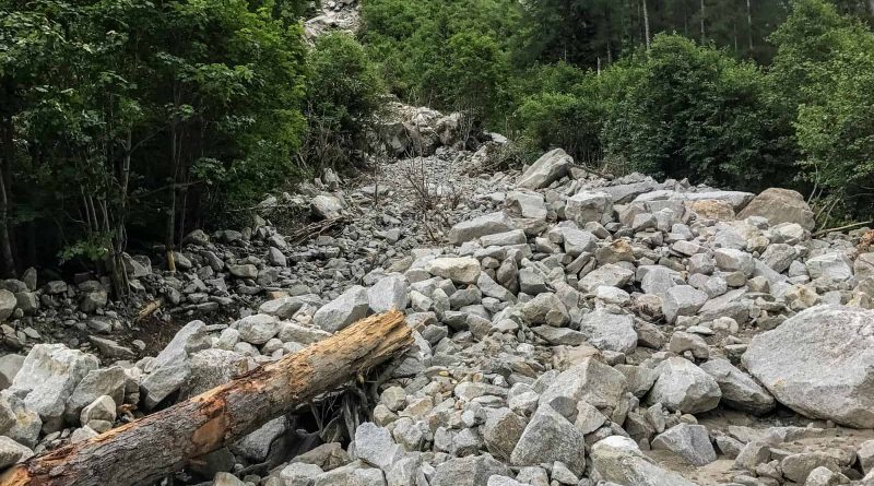 Hohe Tauern WIlderness Exkursion 2017 0091.jpg