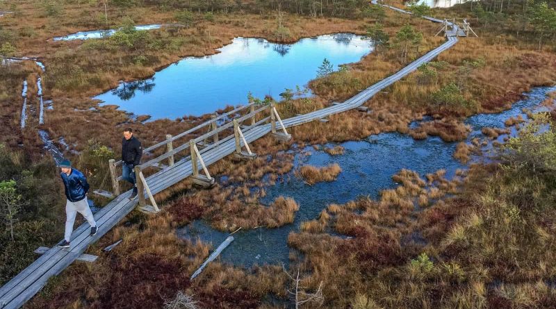 Kemeru Natonal Park - 7719.jpg