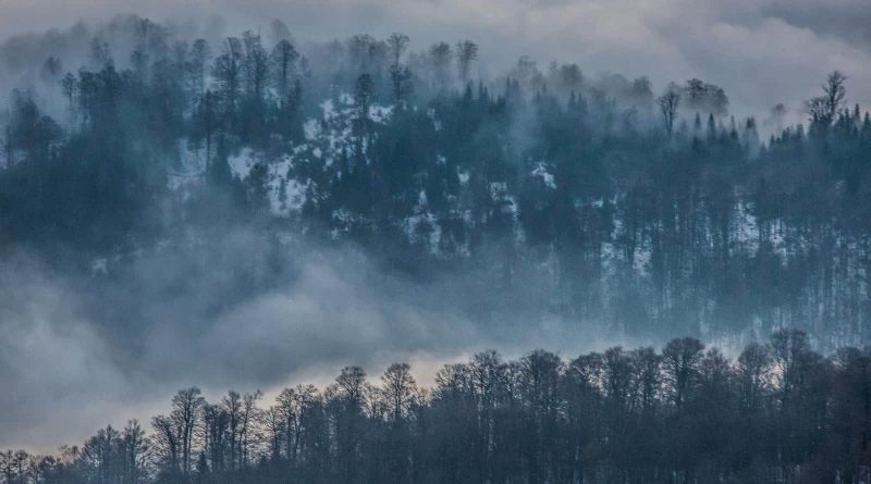 18.amazing nature still survived here. It is worth to preserve it forever..._.jpg