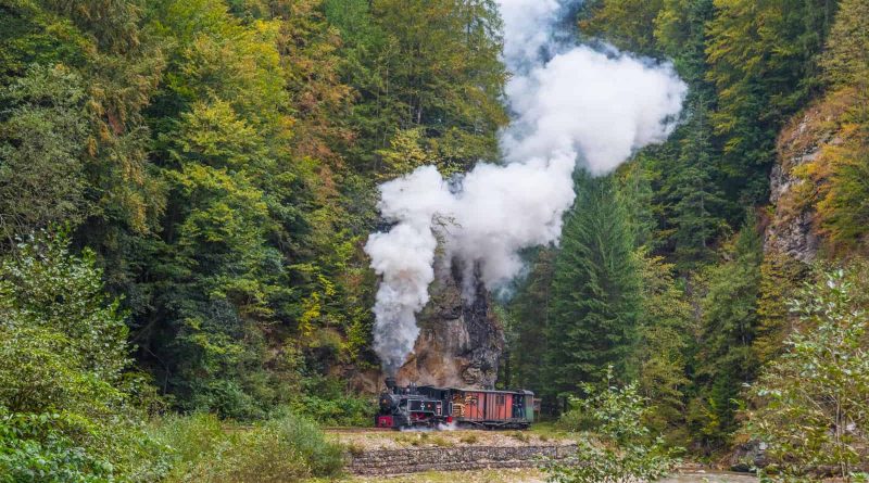 Romania, Mocanita - old narow guage road.jpg