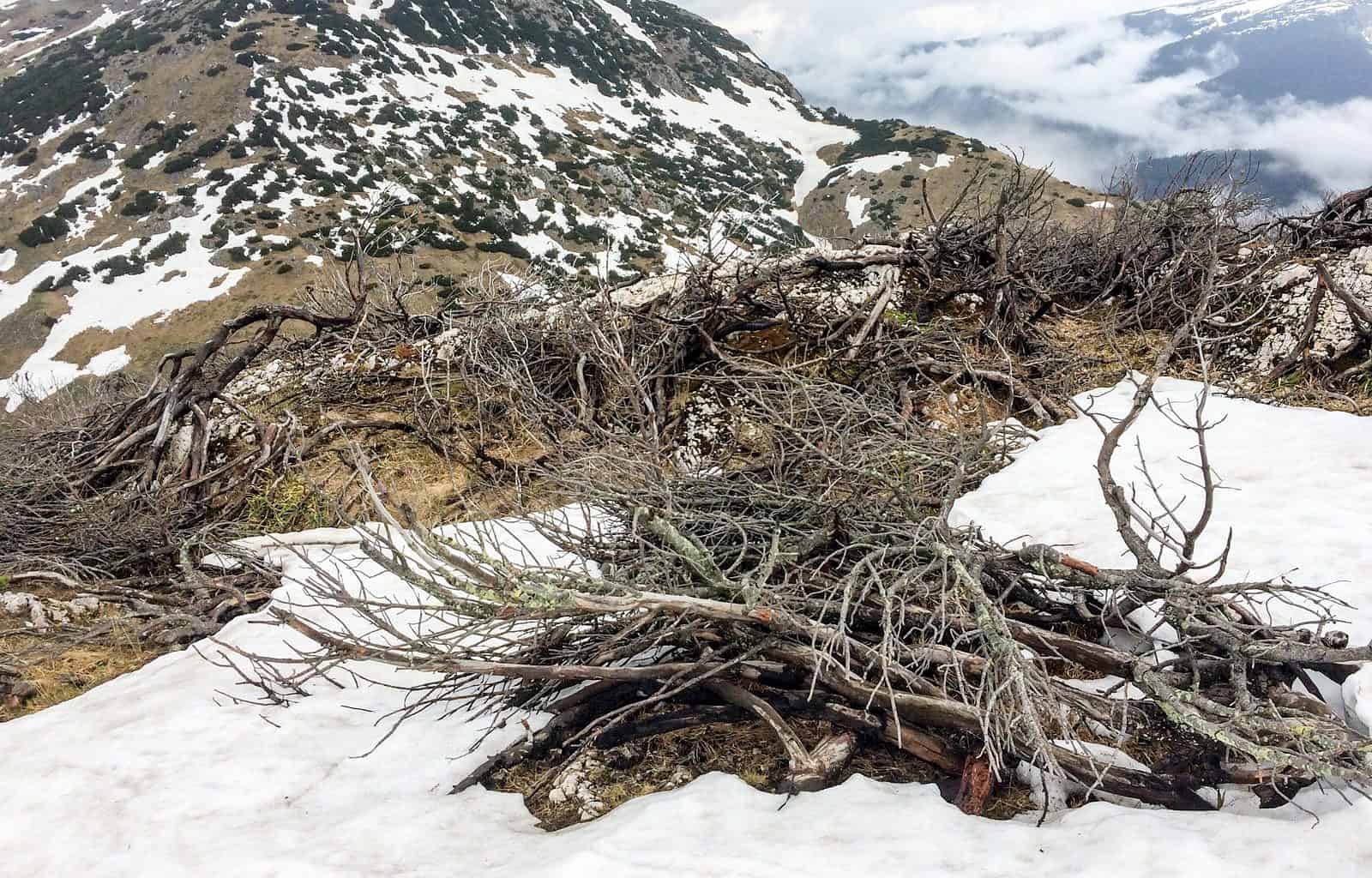 Retezat National Park 0160.jpg