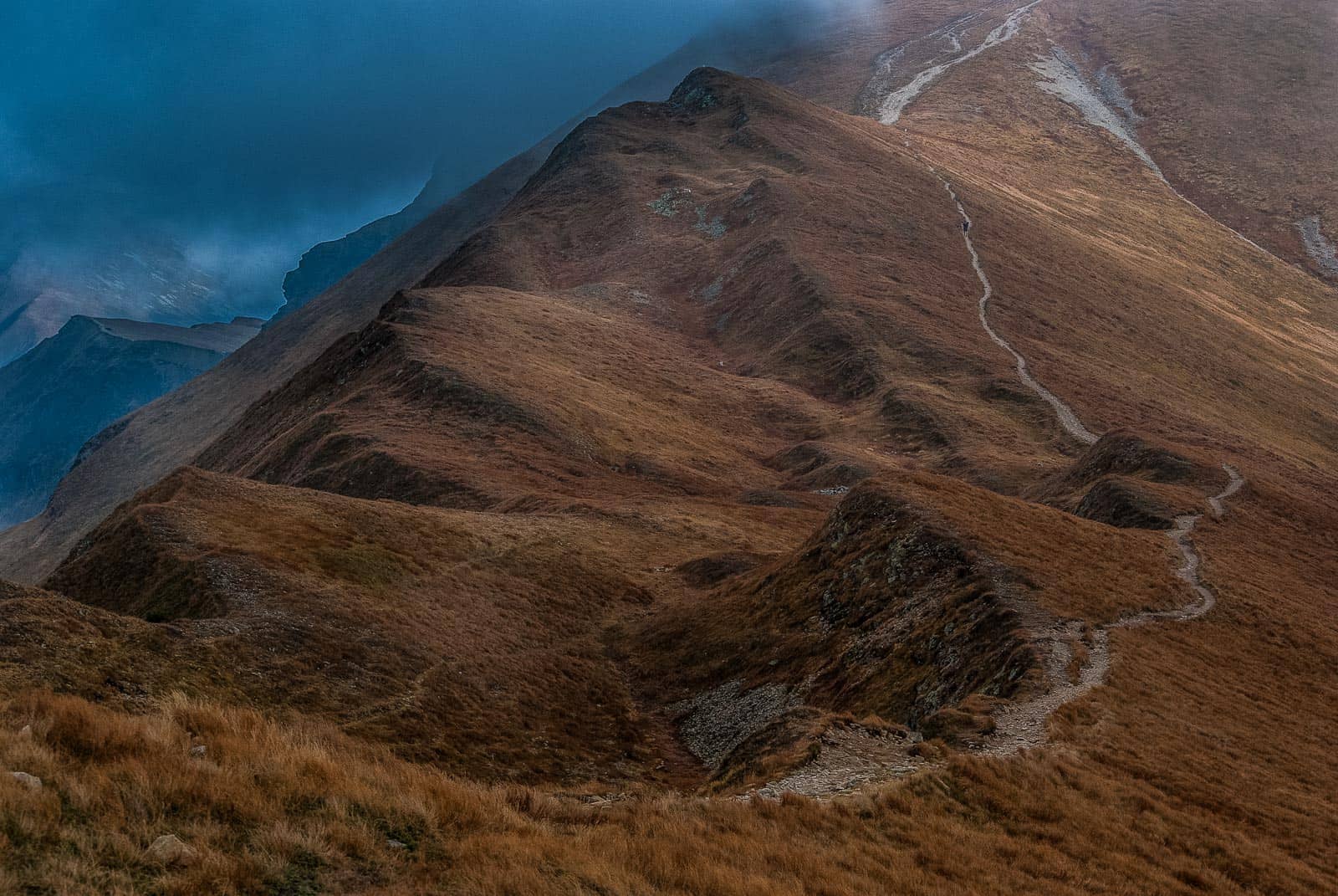 Tatra NP, Rackova Dolina Valley 0357.jpg - © Jim O´Donnell All Rights Reserved