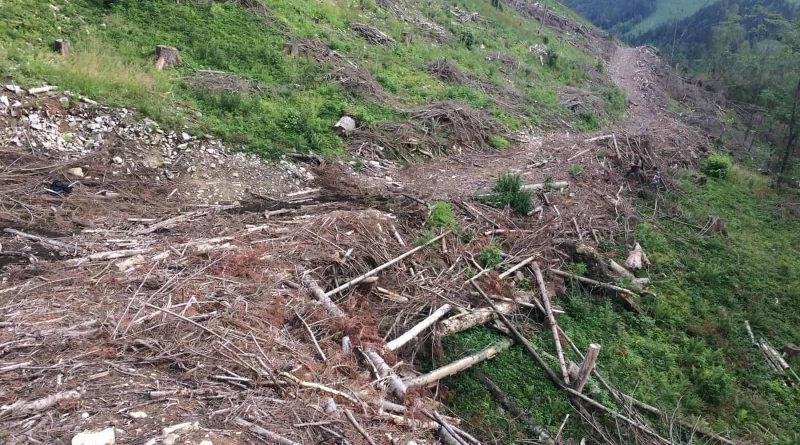 Ukraine Sanitary Logging Analysis - 6487.jpg