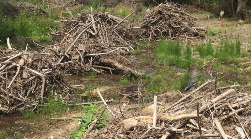 Ukraine Sanitary Logging Analysis - 6471.jpg