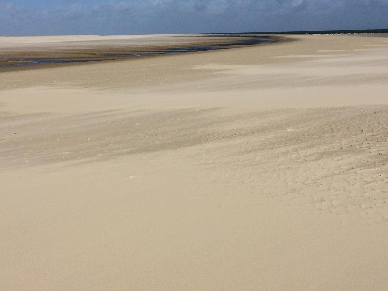 WILDCoast Amrum North Sea-43-6.jpg