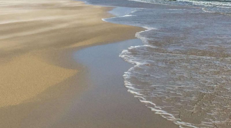 WILDCoast Amrum North Sea-47-6.jpg