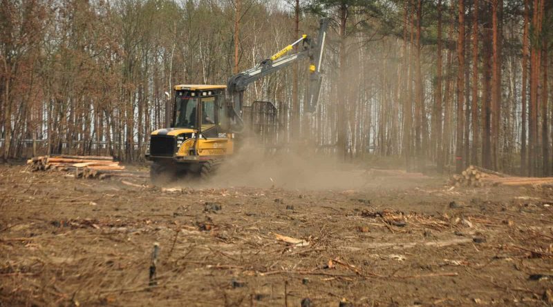Forest Fire Treuebrietzen Brandenburg-22462.JPG