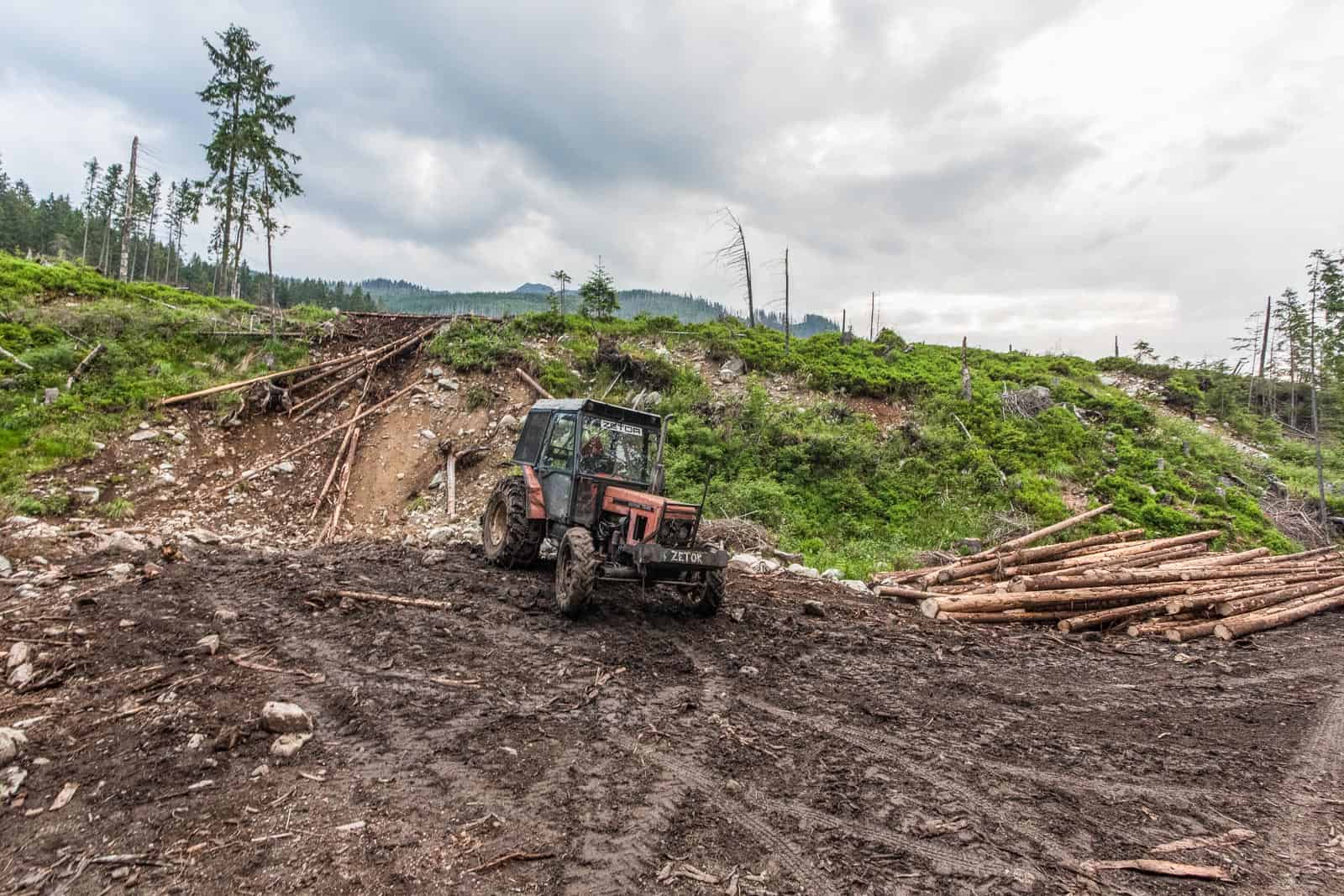 Logging in Slovakian protected areas-22731.jpg