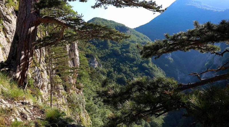 Majella Wilderness Audit 2018-20660.JPG