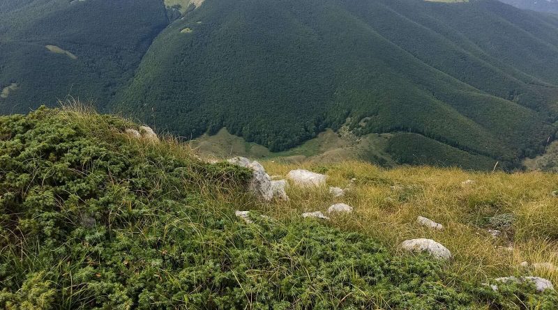 Majella Wilderness Audit 2018-21236.jpg