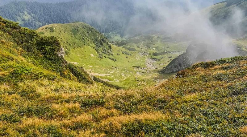 Maramarosh Wilderness Carpathian Biosphere Reserve-19708.jpg