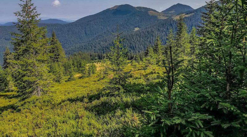 Maramarosh Wilderness Carpathian Biosphere Reserve-19846.jpg