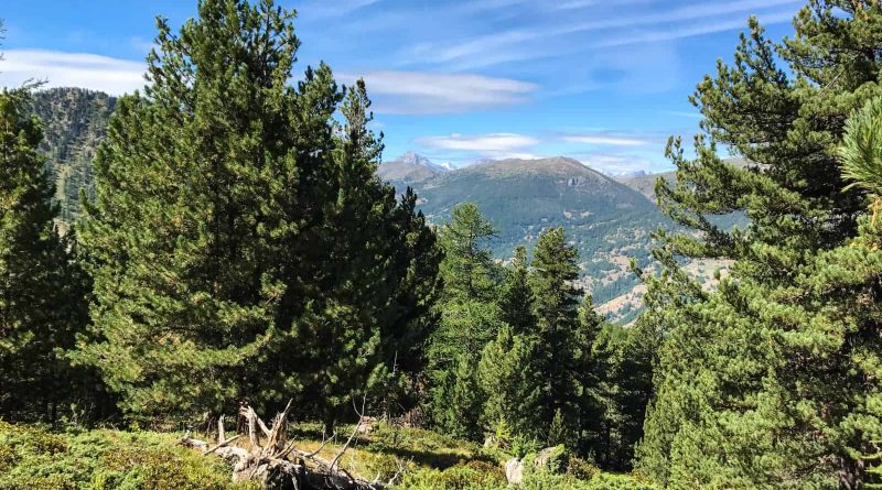 Italy Otino-15125.JPG