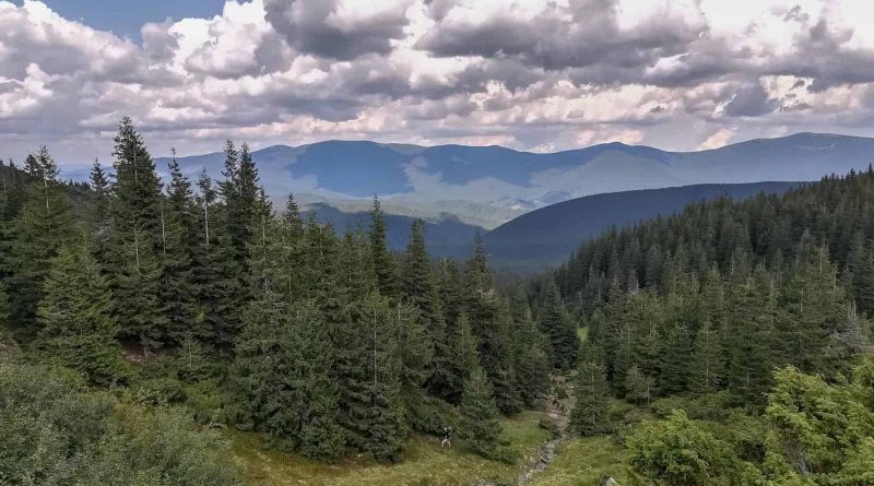 Svydovets Wild Area Ski Resort-20018.jpg