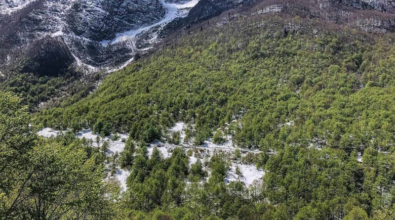 Prealpi Giulie-23211.jpg