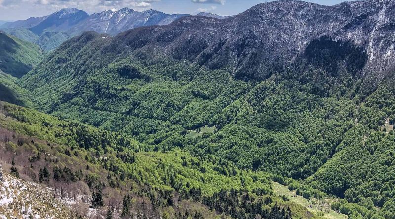 Prealpi Giulie-23232.jpg