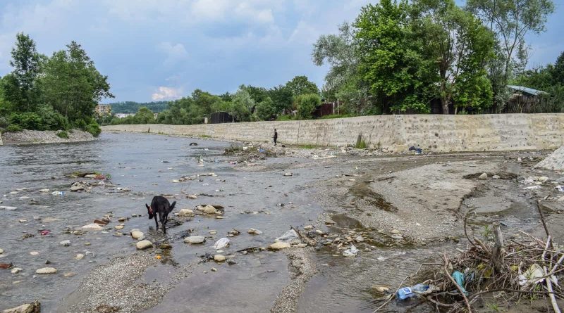 Romanian regulates rivers-23320.JPG