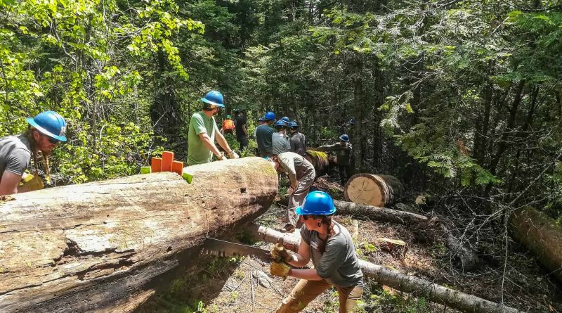 Verena WIlderness Internship USA-24414.jpg