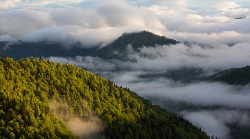 spring in fatra mountains-24745.jpg