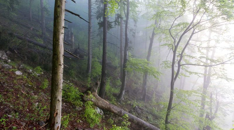 spring in fatra mountains-24748.jpg