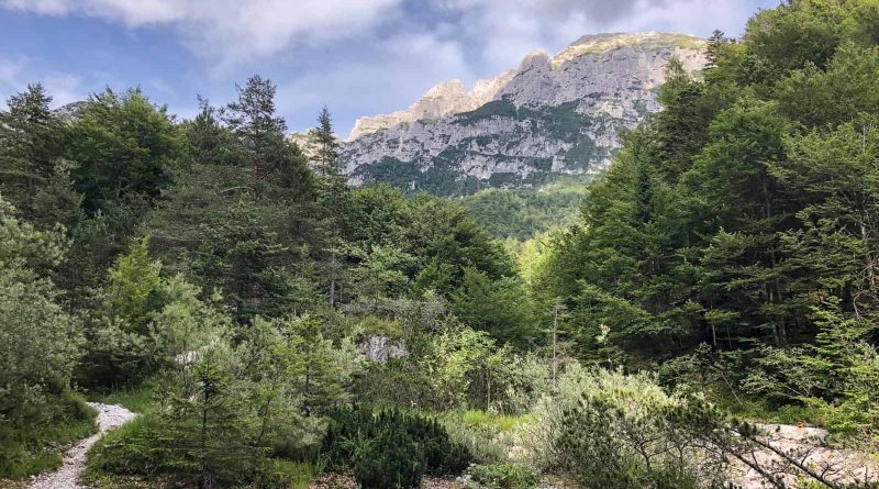 Val Alba Wilderness-25680.jpg