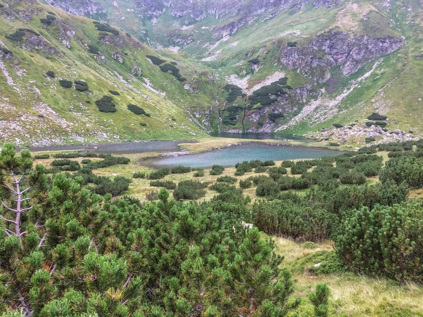 Anniversary Photocompeition Winner-26766.jpeg