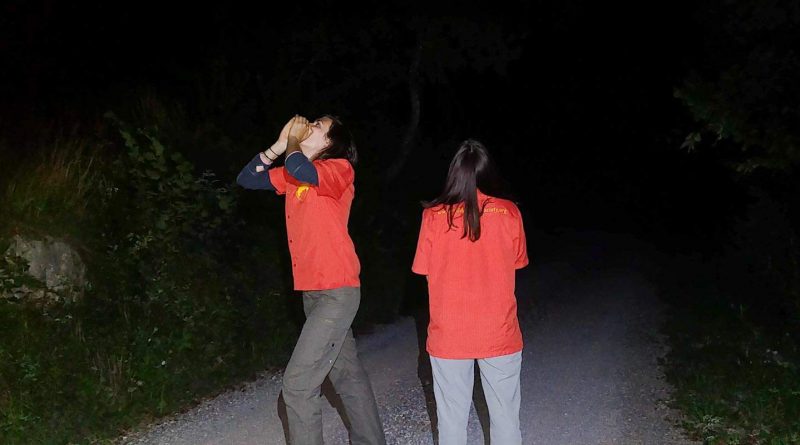 Slovenian Wolf Monitoring Howling-26712.jpg