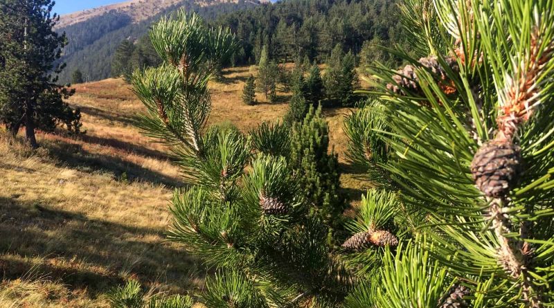 4 Ali Botush reserve-29841.jpeg