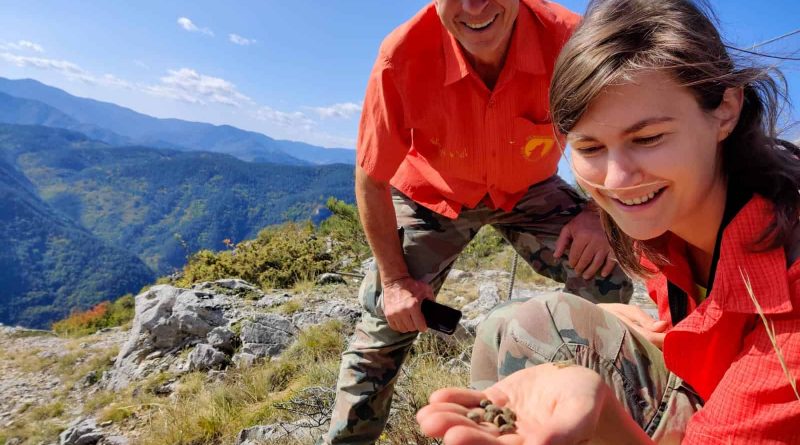 Cervenata stena Reserve-30031.jpg