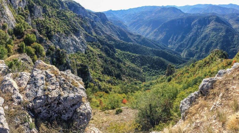 Cervenata stena Reserve-30103.jpeg