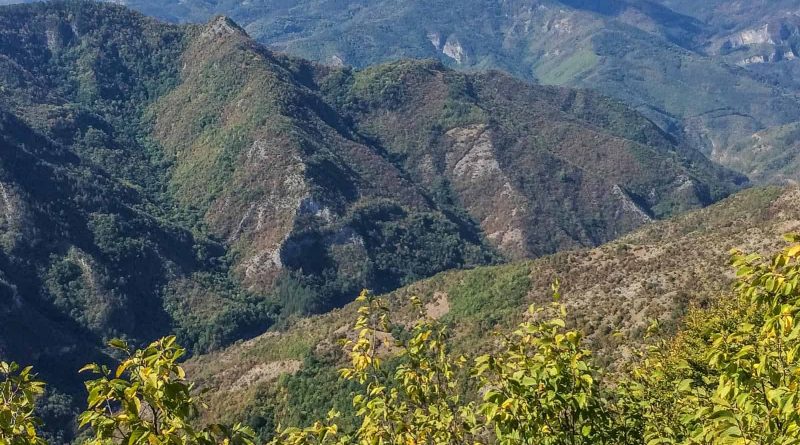 Cervenata stena Reserve-30119.jpeg