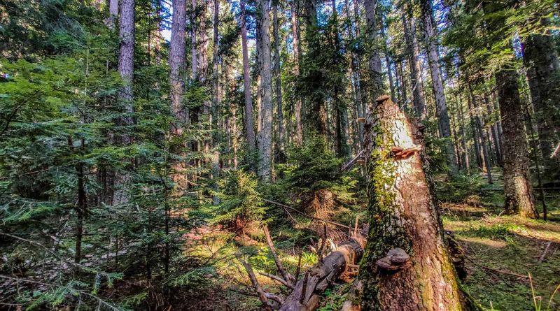 Mantaritza reserve-30256.jpg