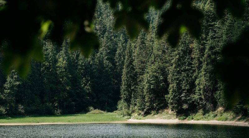 Ukraine Nature © Brandon Hartwig-26232.jpg