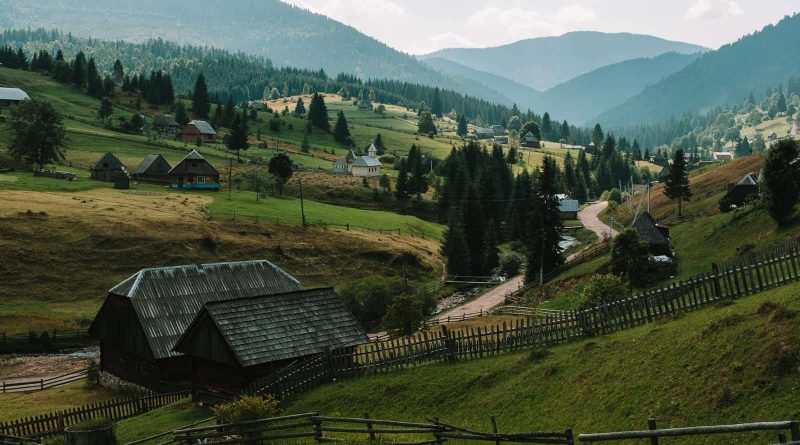 Ukraine Nature © Brandon Hartwig-26237.jpg