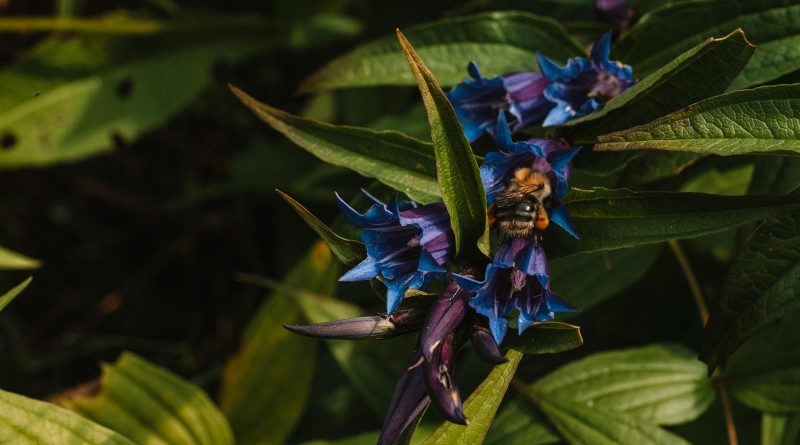 Ukraine Nature © Brandon Hartwig-26247.jpg