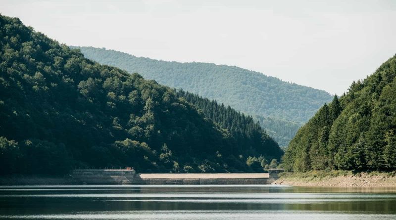 Ukraine Nature © Brandon Hartwig-26284.jpg