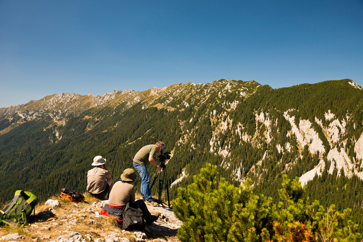 CentralParks -28925.jpg