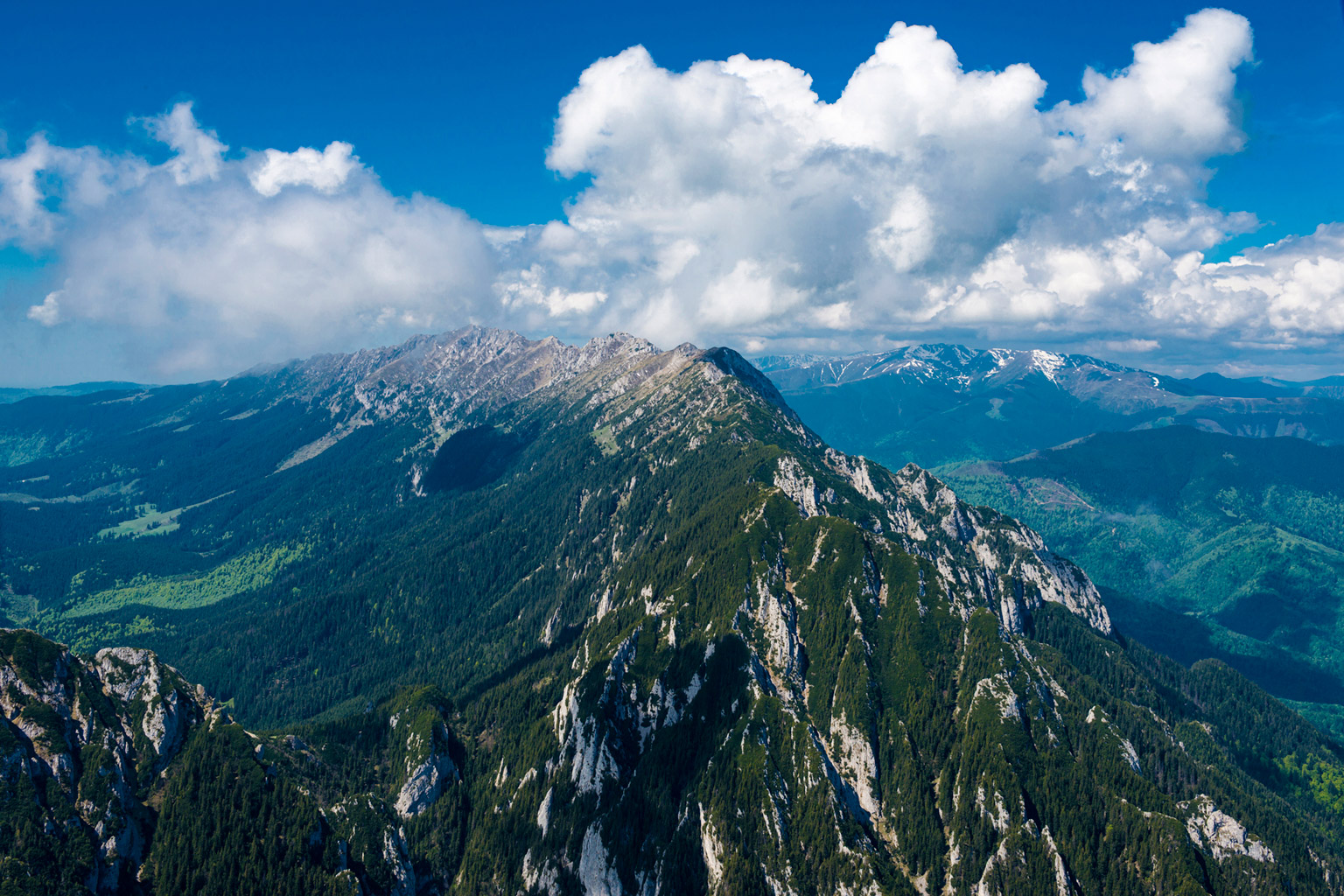 CentralParks -28926.jpg