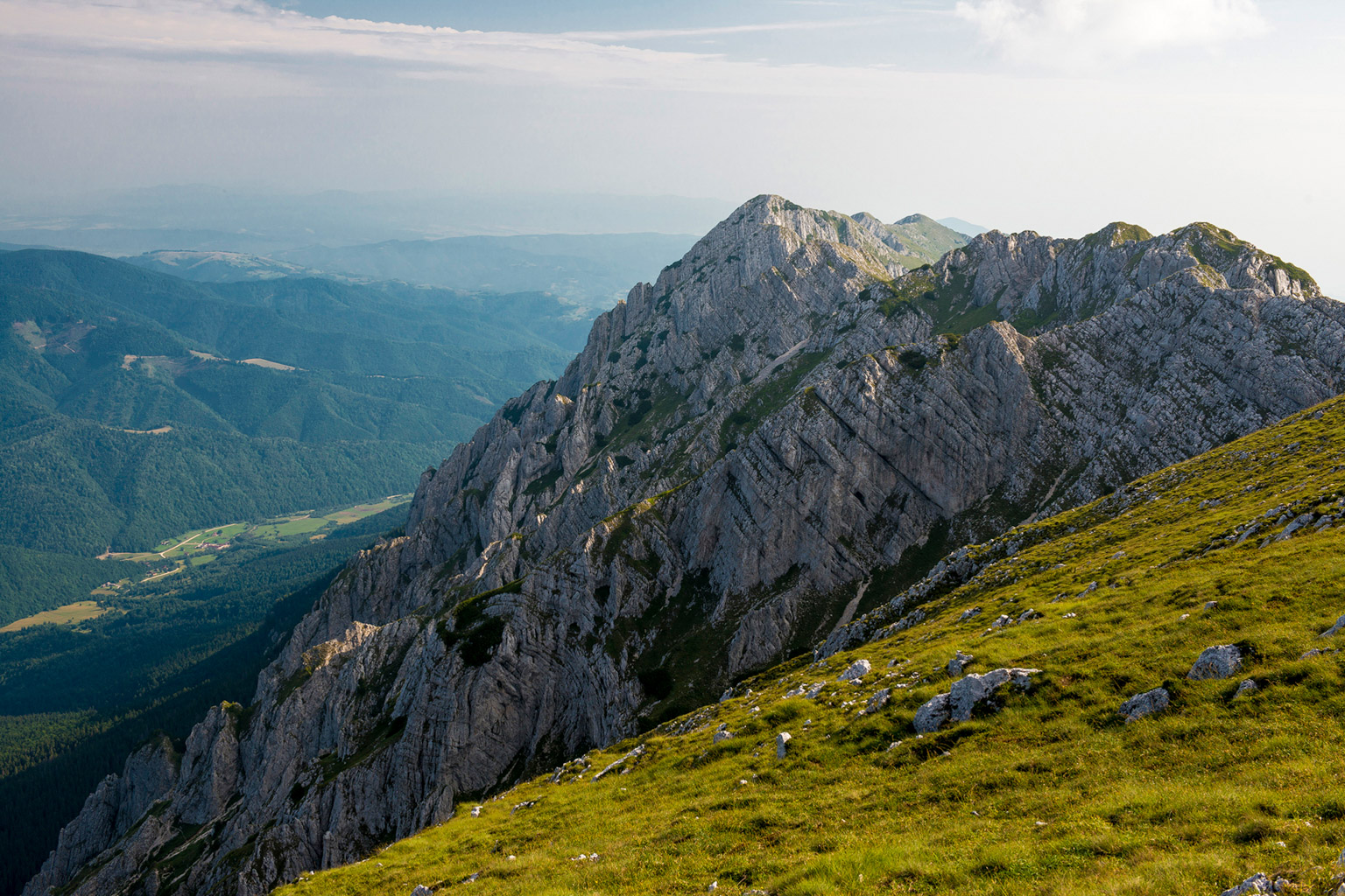 CentralParks -28927.jpg