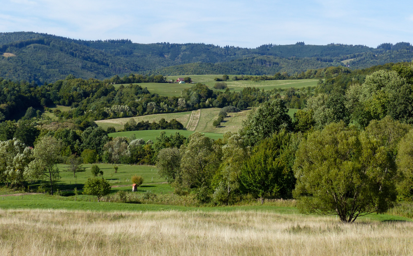 CentralParks -28928.jpg