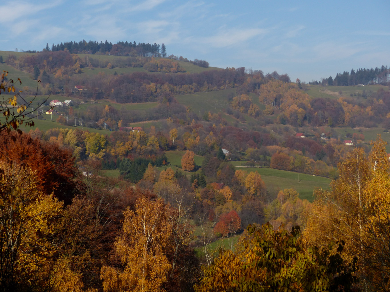 CentralParks -28929.JPG