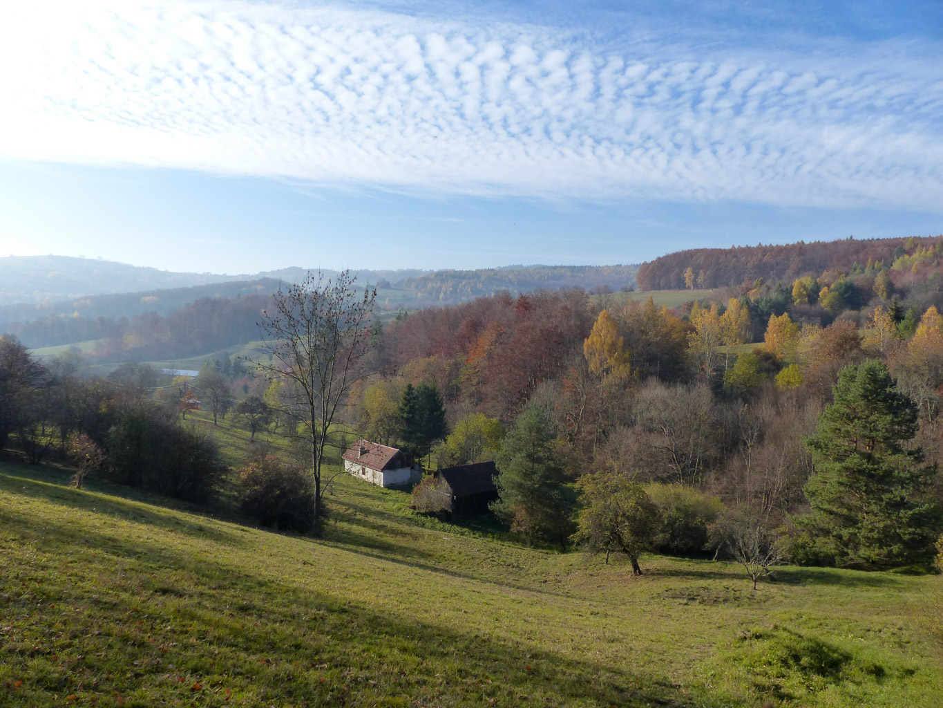 CentralParks -28930.JPG