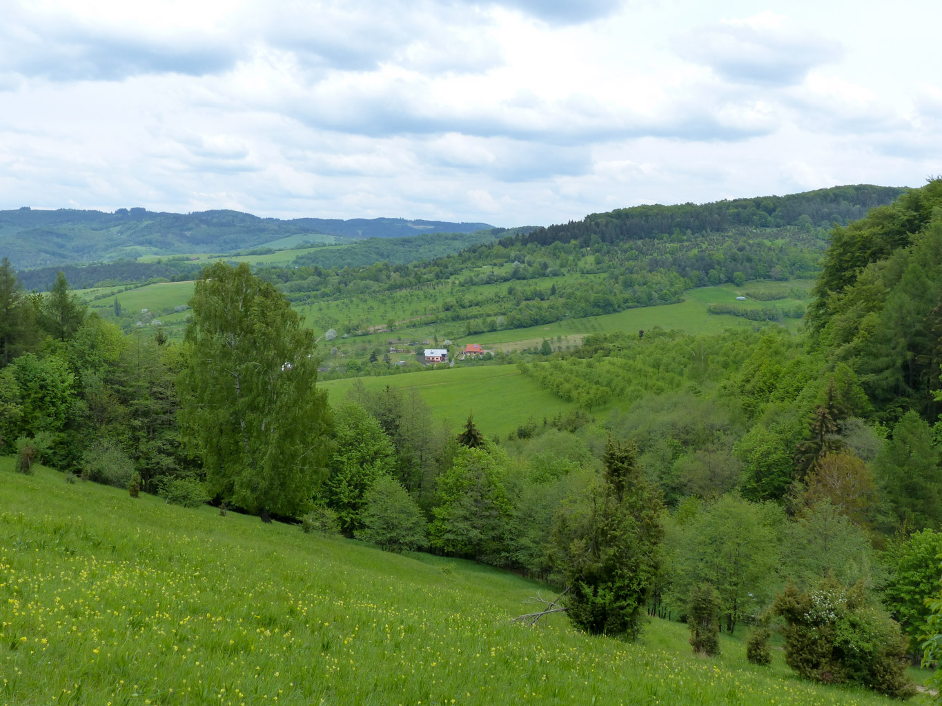 CentralParks -28932.JPG