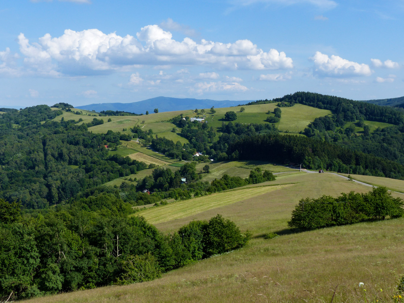 CentralParks -28934.JPG