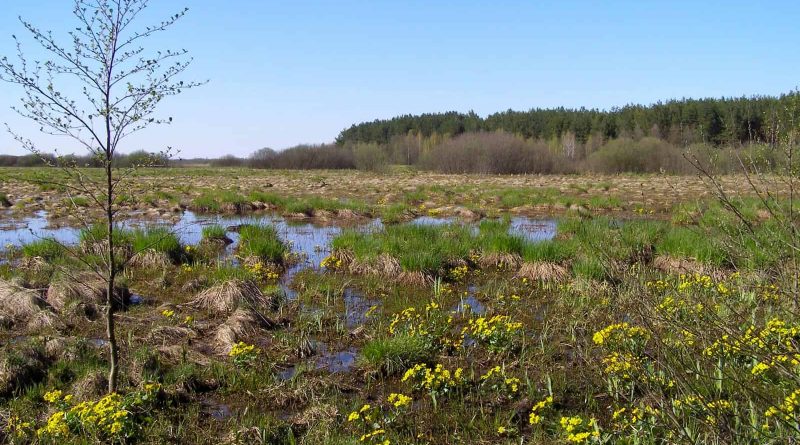 Bondarivske_Wetland -30674.JPG